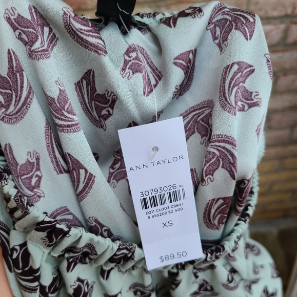 Ann Taylor Mint Green Shirred Horse Top Mint Green - Picture 6 of 6